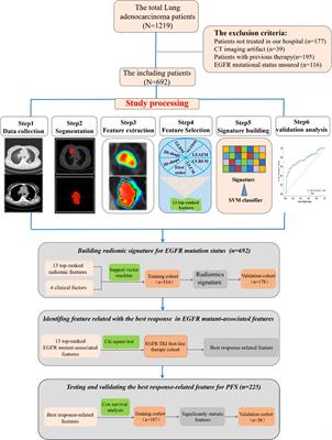 Computed tomography-based radiomics quantification predicts epidermal growth factor receptor mutation status and efficacy of first-line targeted therapy in lung adenocarcinoma